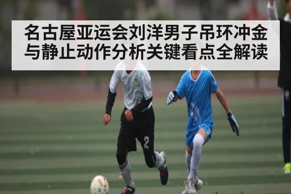 名古屋亚运会刘洋男子吊环冲金与静止动作分析关键看点全解读